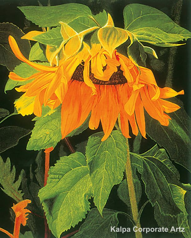 Florals & Still Life Collection IV